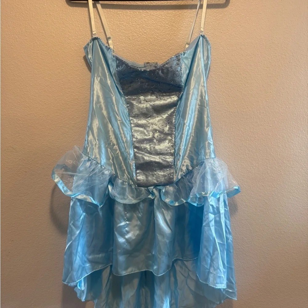 Cinderella Halloween costume - Picture 2 of 5